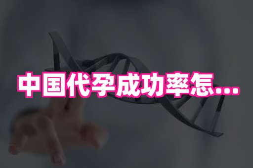 幸孕 4